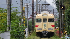 霧雨降ろうとも撮る；