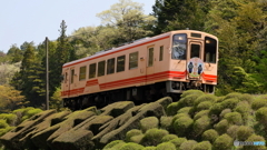 路側帯外から撮影