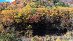 抜け悪し；