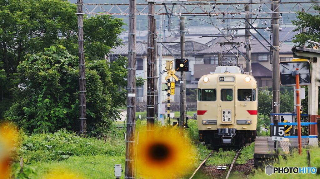 行ってビックリ