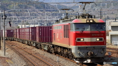 ＥF５１０初撮影