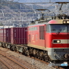 ＥF５１０初撮影