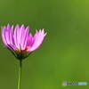 今日も暑い；