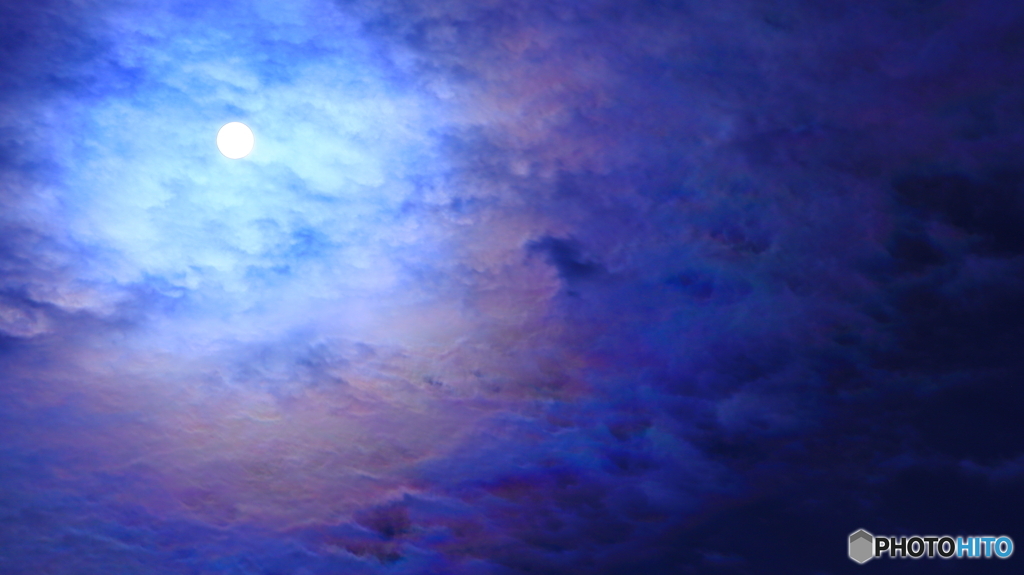 今日は諦めていたが