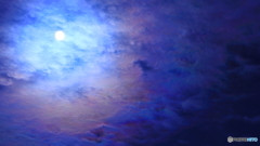 今日は諦めていたが