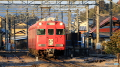 元旦でも撮る