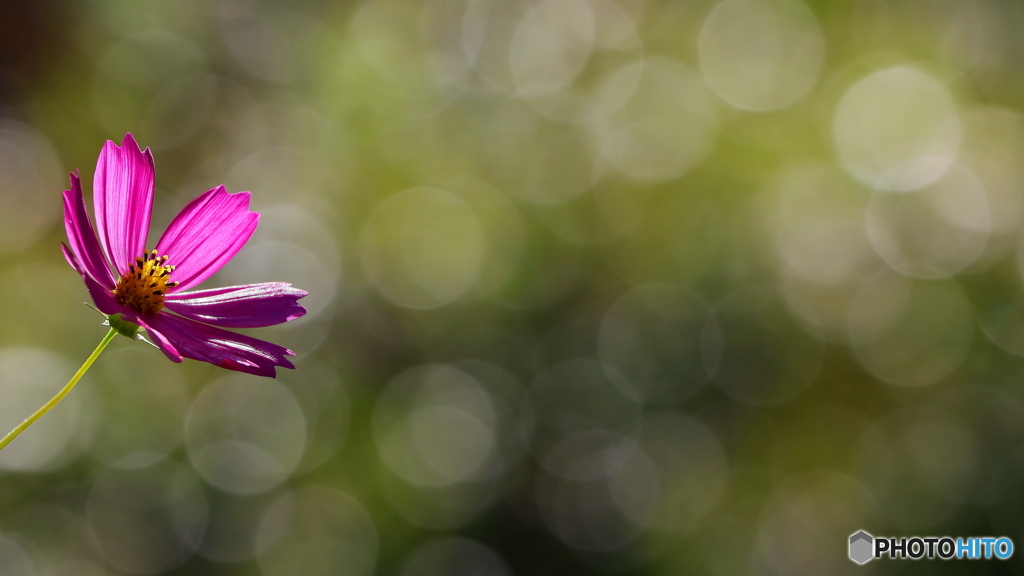 いよいよ最終盤