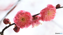 雨の止み間に（１）