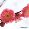 雨の止み間に（１）