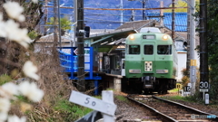 今日は色が違う