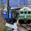 今日は色が違う