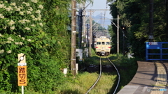 今日も暑くなる