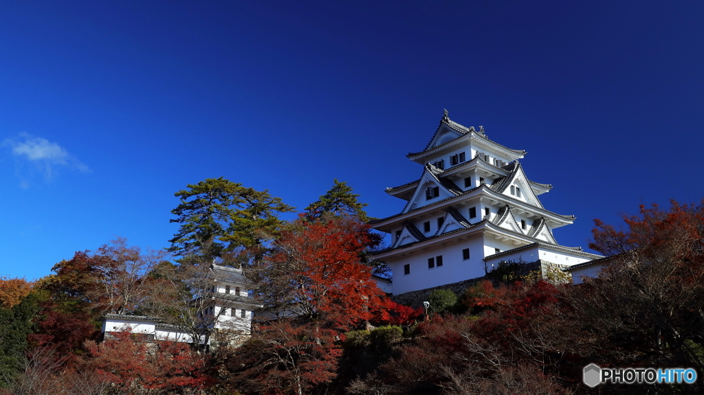 郡上八幡城