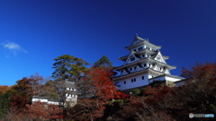 郡上八幡城