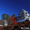 郡上八幡城