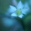 千振　2