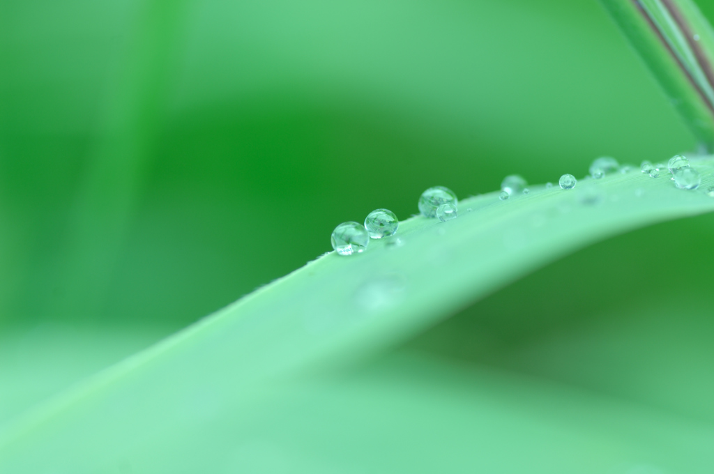 手持ちの限界　1