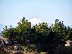 IMG_4131