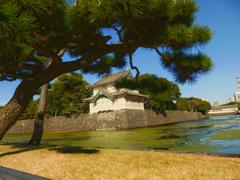 皇居周辺