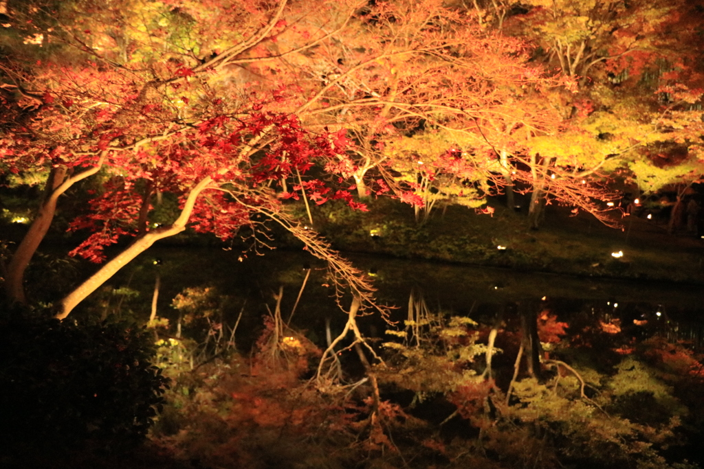 高台寺
