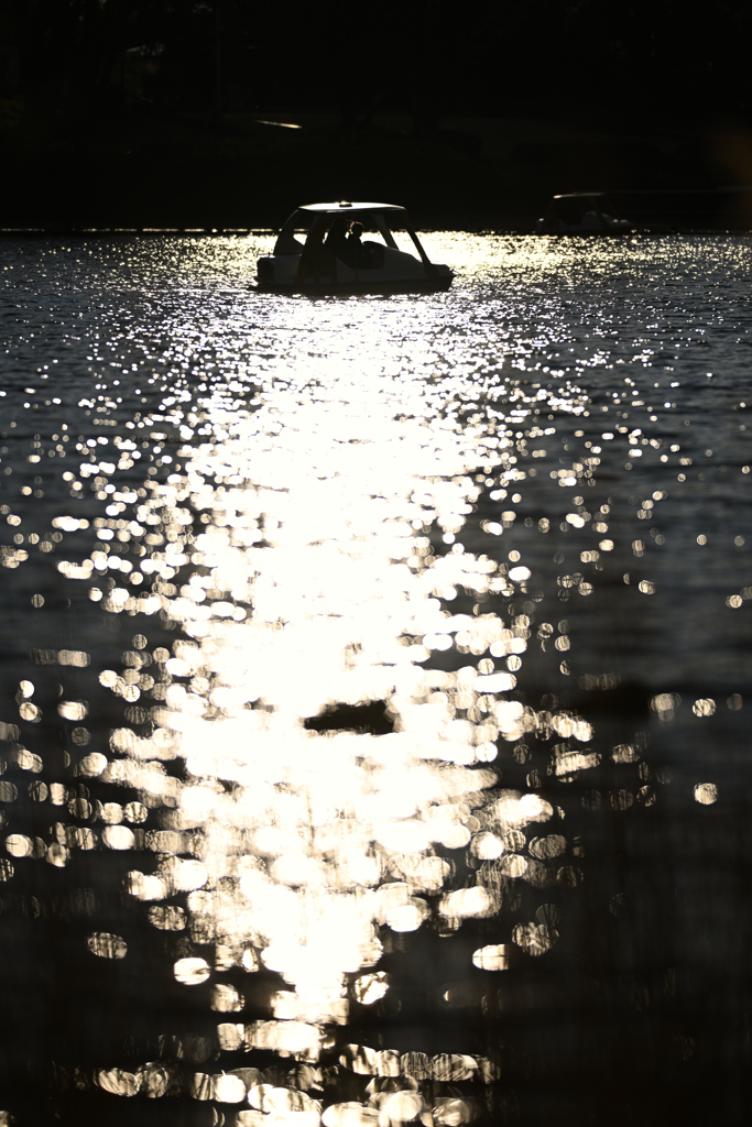 水に浮かぶボート