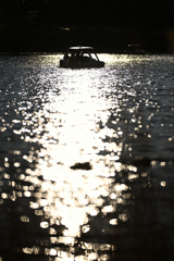 水に浮かぶボート