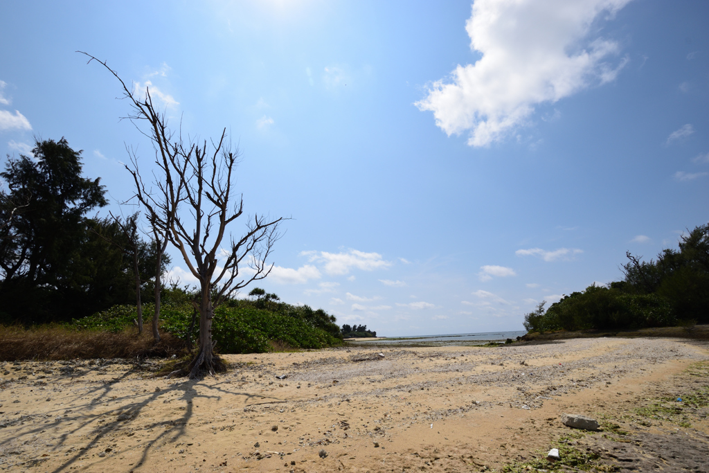 気温23℃ 夏日