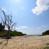 気温23℃ 夏日