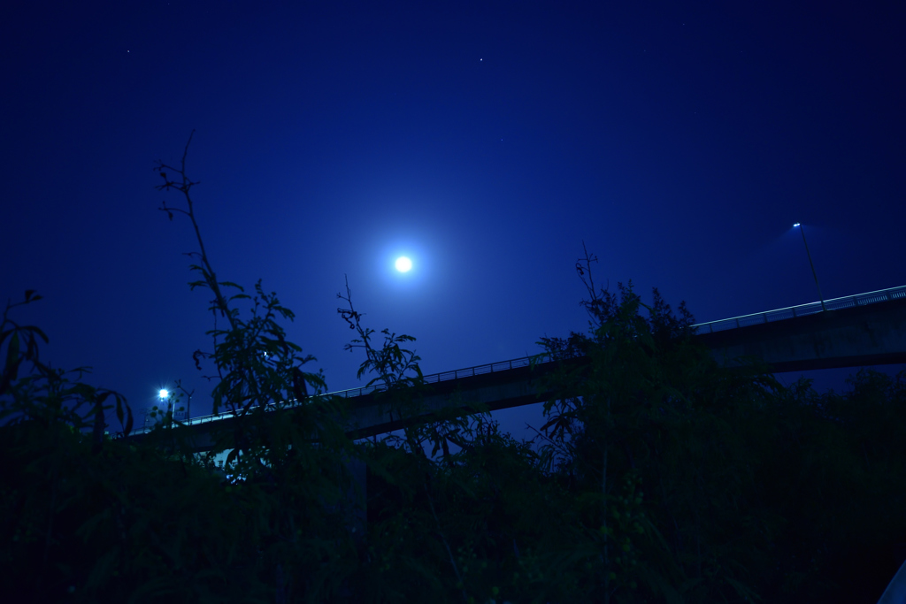 月明かり