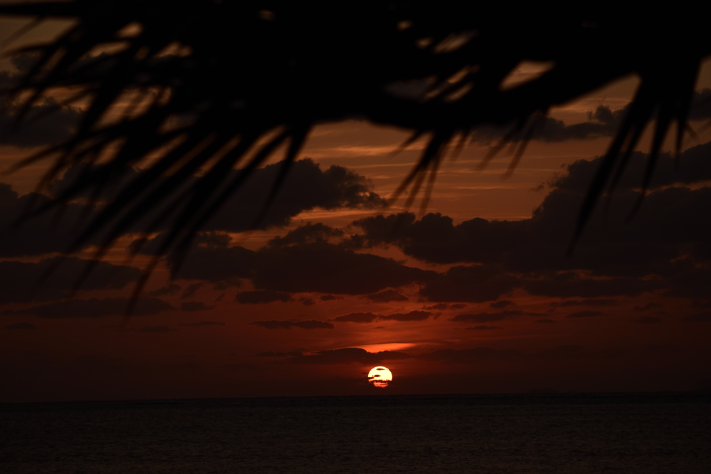 丸い夕日