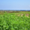 具志頭浜