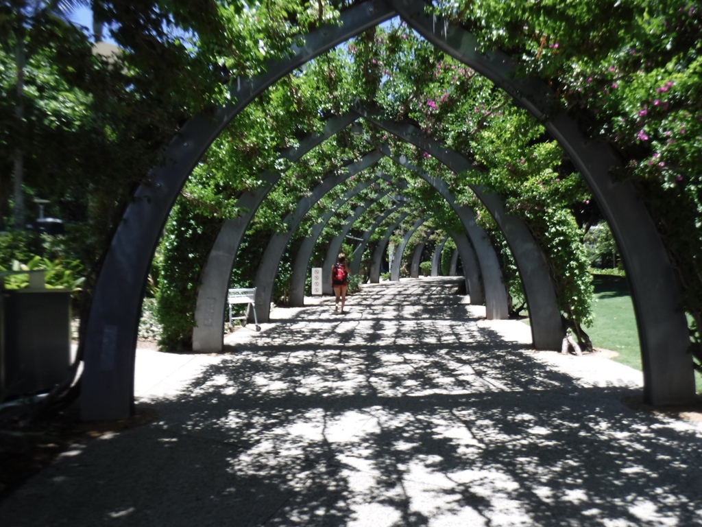 tunnel covered bougainvillea