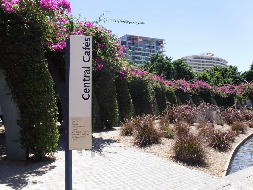 tunnel covered bougainvillea;other view