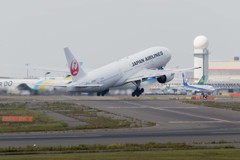 羽ばたく
