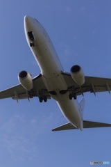 ボーイング737-800