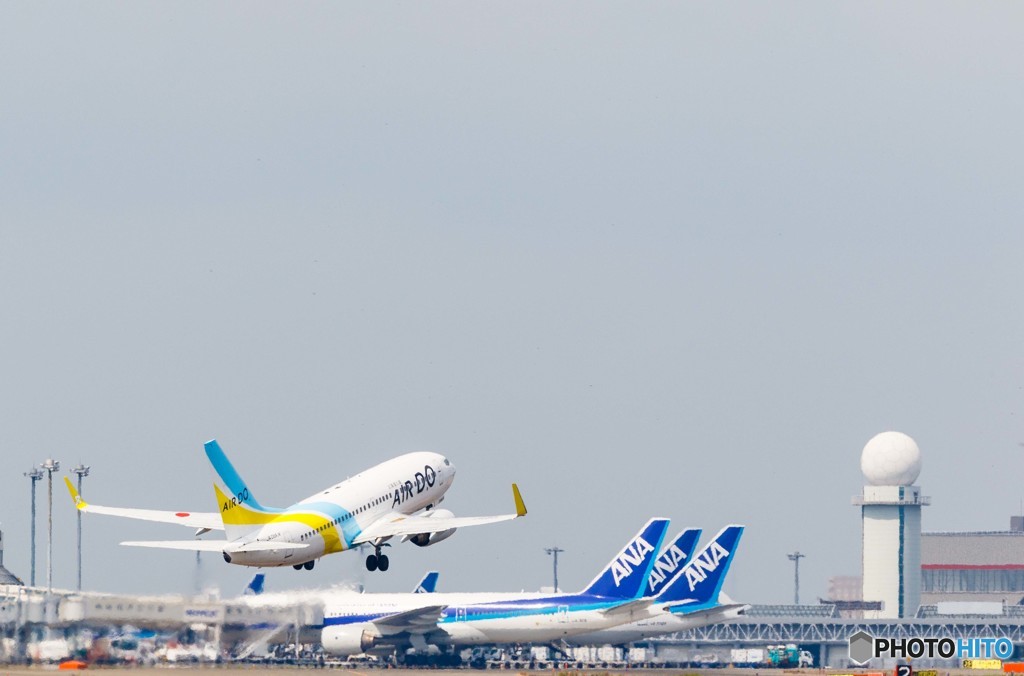 北海道の翼