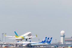 北海道の翼