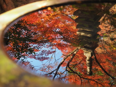 水の中に映る紅葉