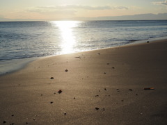 夕暮れの砂浜 夕暮れの砂浜