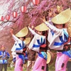 仙台の桜と阿波踊り