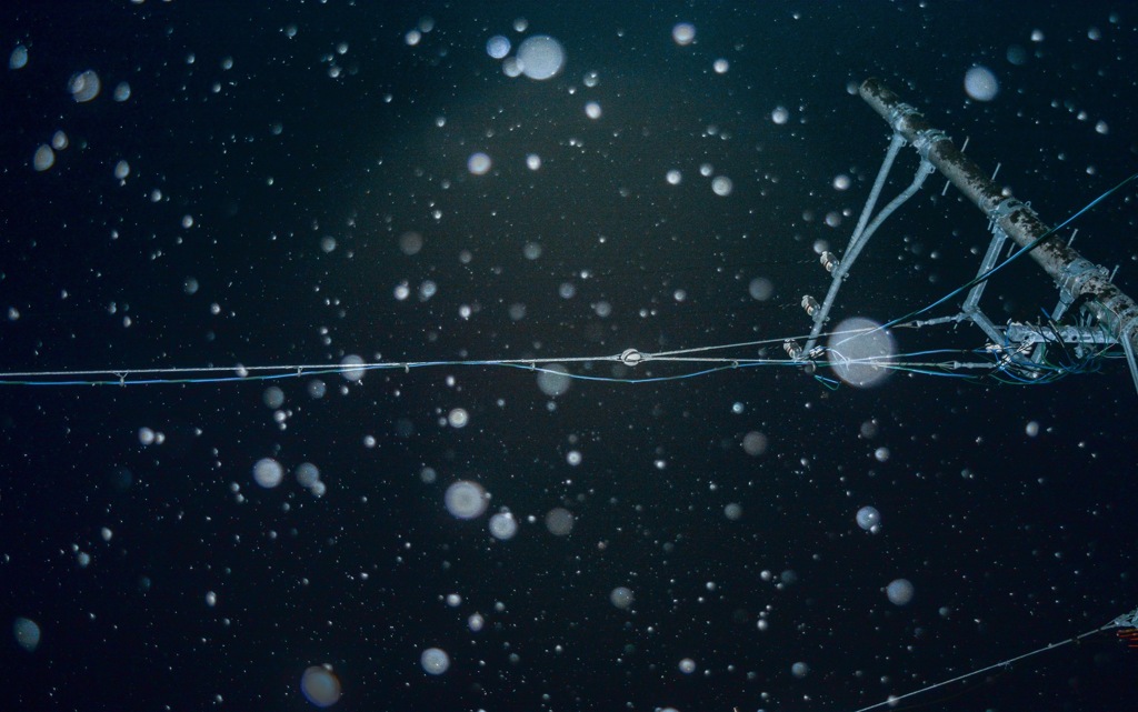 雪