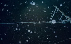 雪