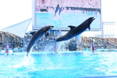 ジャーンプ