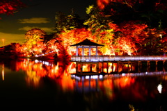 東公園