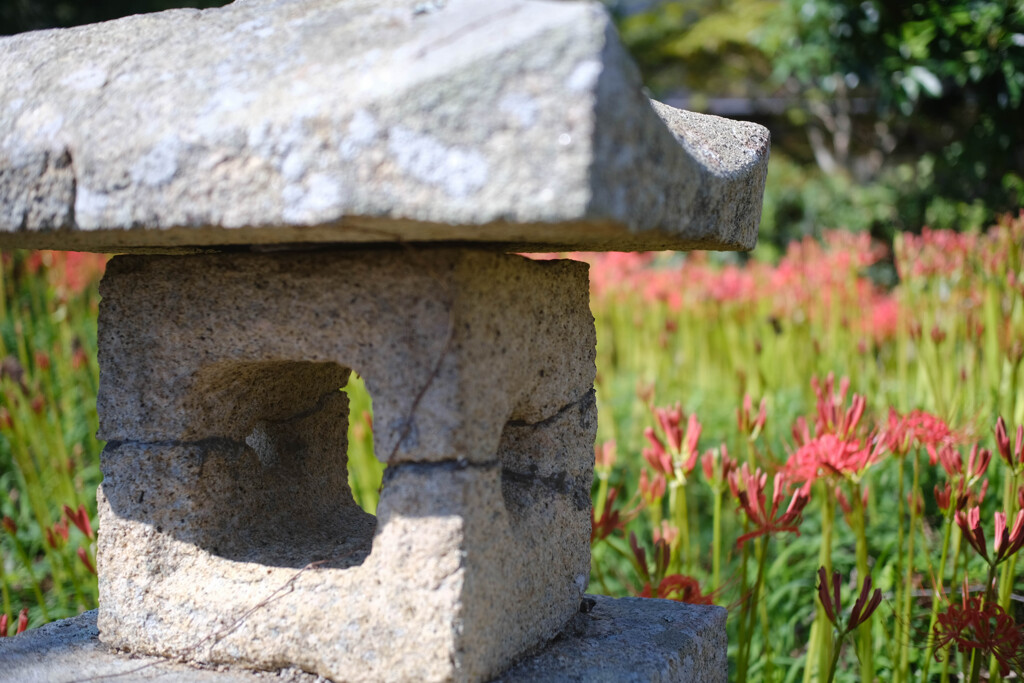鰐鳴八幡宮８