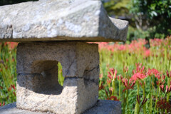 鰐鳴八幡宮８