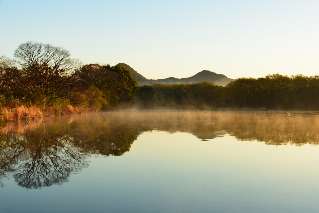 朝靄の椹野川②