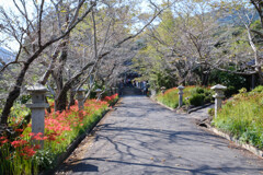鰐鳴八幡宮２
