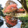 周防國四ノ宮「赤田神社」の紅葉