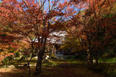 清水寺（せいすいじ）③